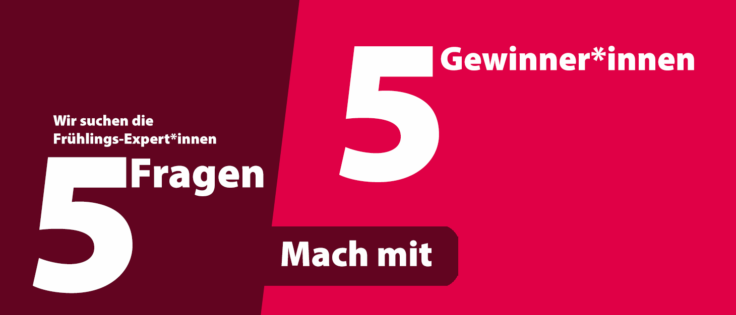 5 Fragen – 5 Gewinner*innen! Mach mit!